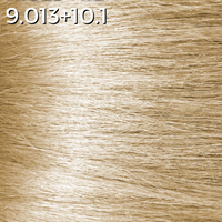 9.013 + 10.1 - Champagne