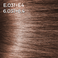 E.031 + E.4. CARAMEL 6.031+6.4 - Luc Vincent