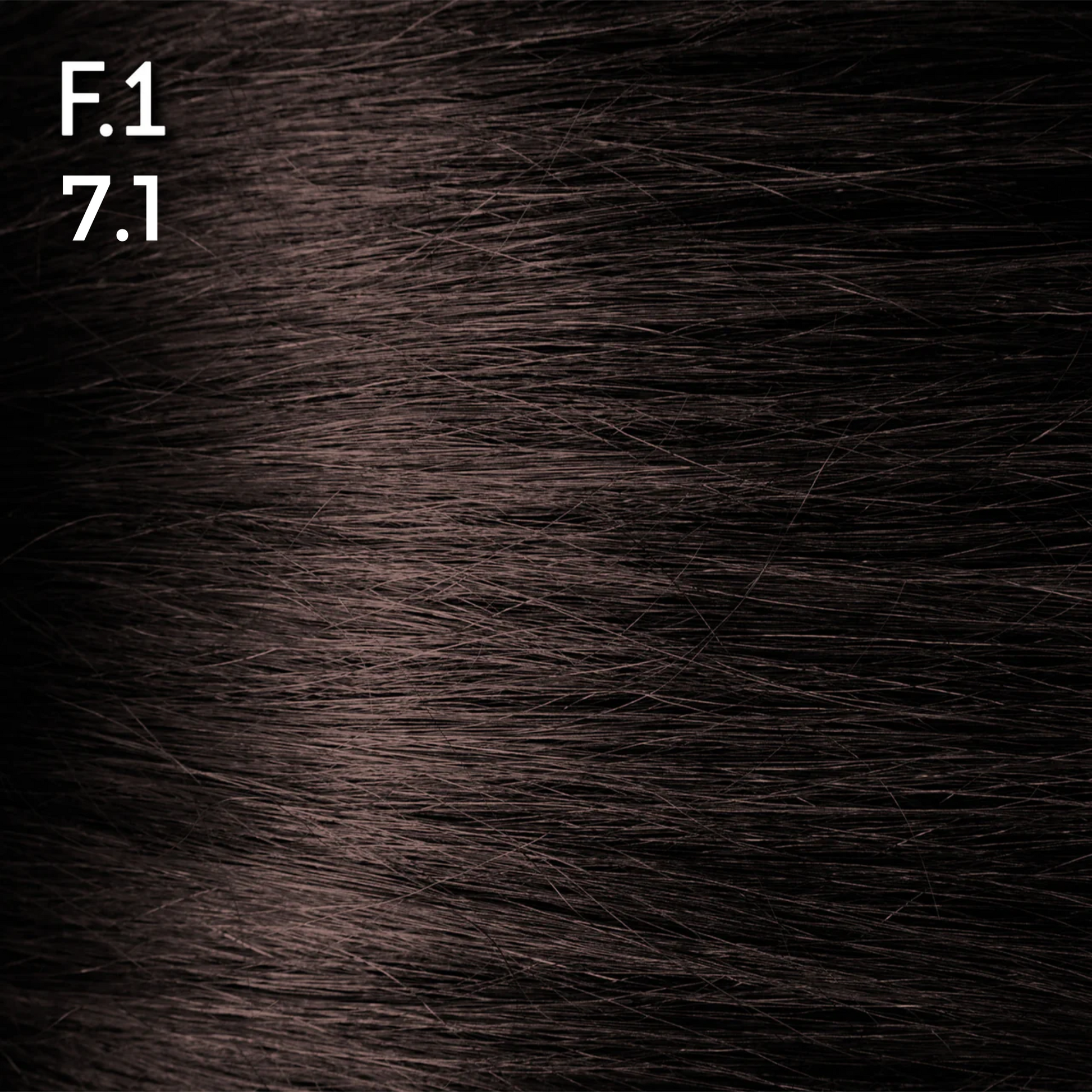 F.1. LIN 7.1 - Luc Vincent