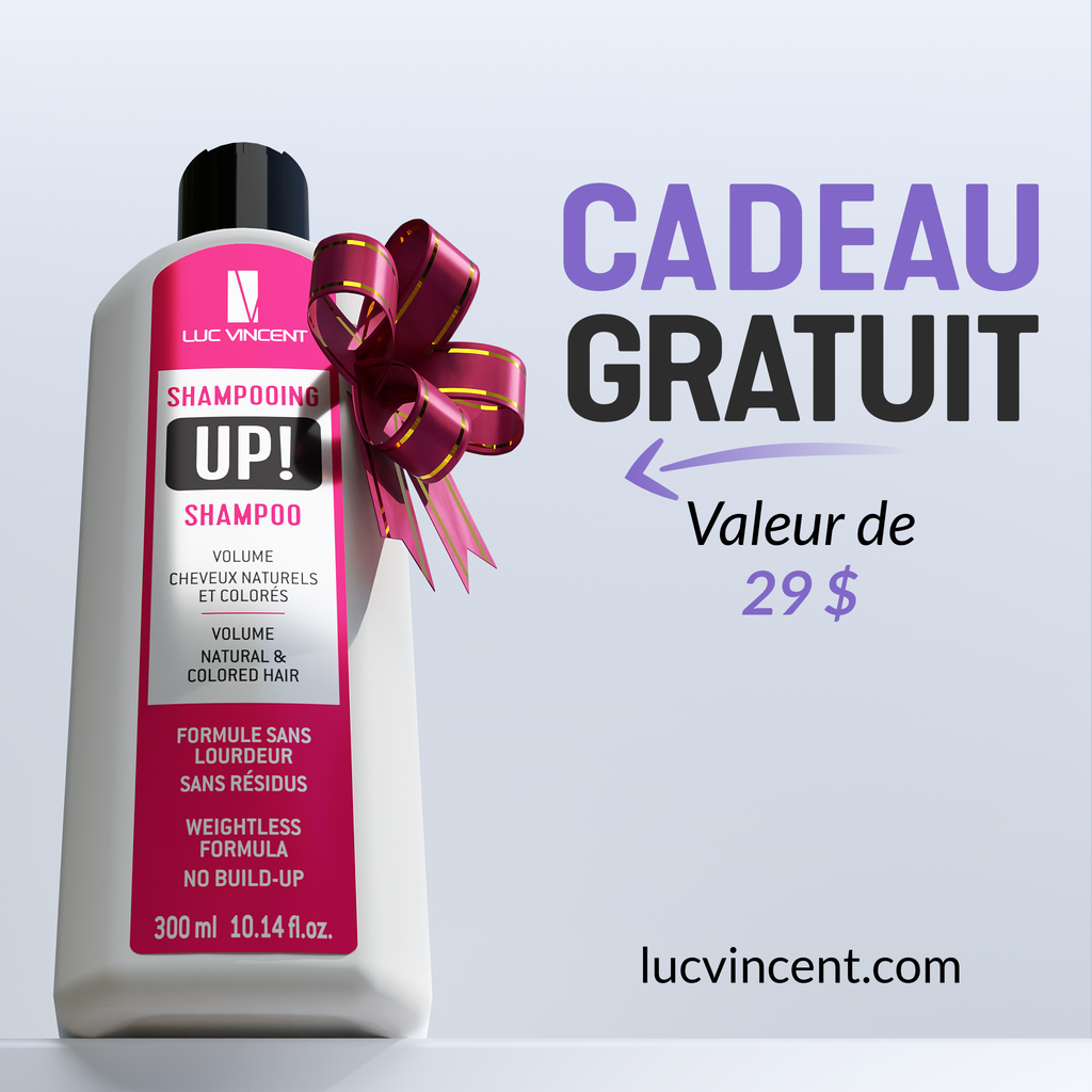 COLLECTION STYLE - Luc Vincent