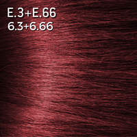 E.3 + E.66. ROUGE FLAMME 6.3+6.66 - Luc Vincent