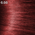6.66 Paprika - photo principale du produit