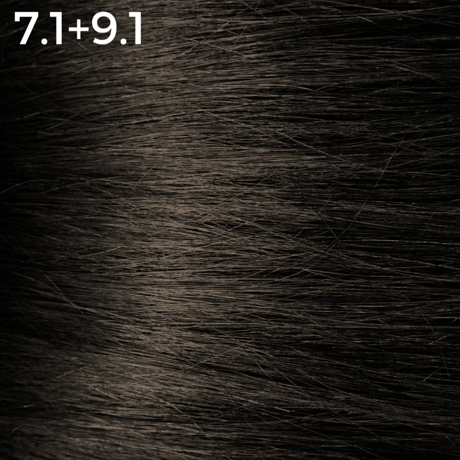 7.1 + 9.1 - Morille