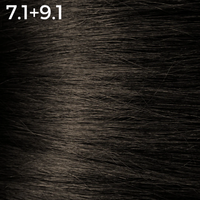 7.1 + 9.1 - Morille