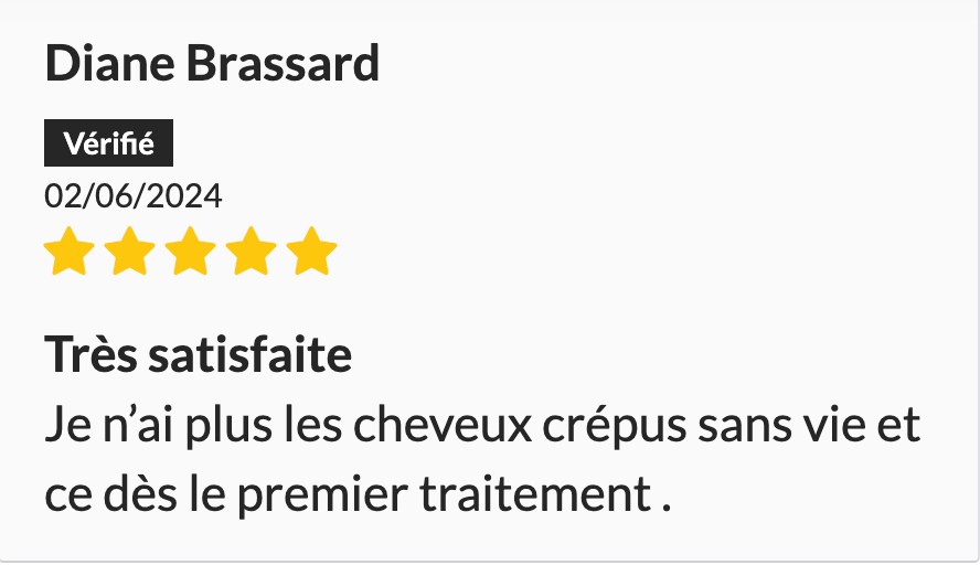 SYSTÈME RECRÉER - Traitement réparateur pour cheveux endommagés - Luc Vincent