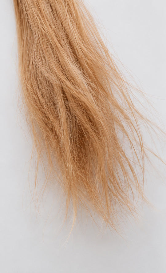 Pointes blondes abîmées